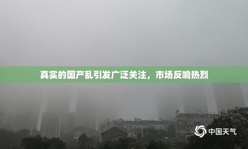 真实的国产乱引发广泛关注，市场反响热烈