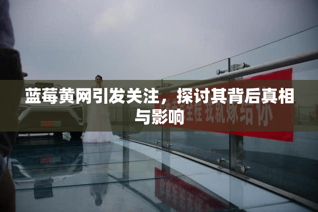 蓝莓黄网引发关注，探讨其背后真相与影响