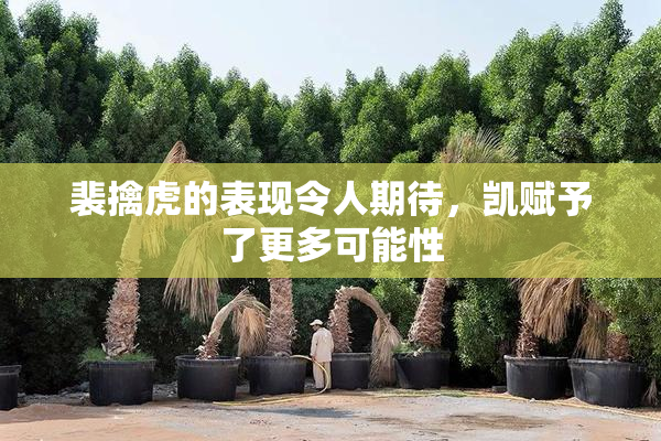 裴擒虎的表现令人期待，凯赋予了更多可能性