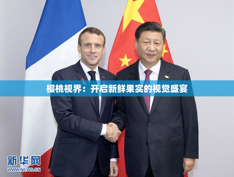 樱桃视界：开启新鲜果实的视觉盛宴