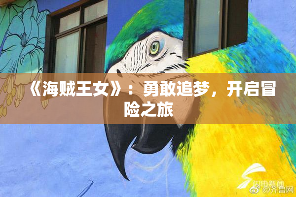 《海贼王女》：勇敢追梦，开启冒险之旅