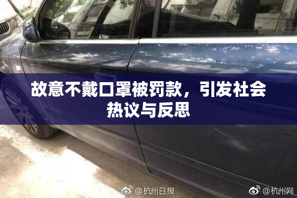故意不戴口罩被罚款，引发社会热议与反思