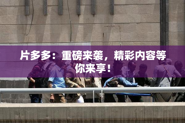 片多多：重磅来袭，精彩内容等你来享！