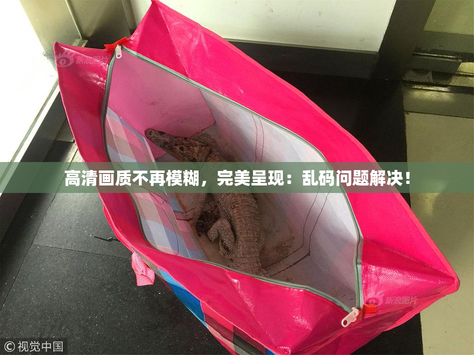 高清画质不再模糊，完美呈现：乱码问题解决！