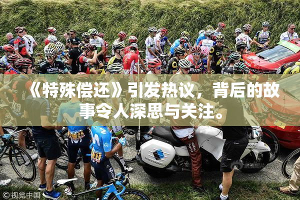 《特殊偿还》引发热议，背后的故事令人深思与关注。
