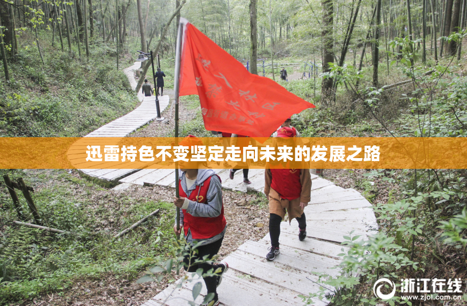 迅雷持色不变坚定走向未来的发展之路