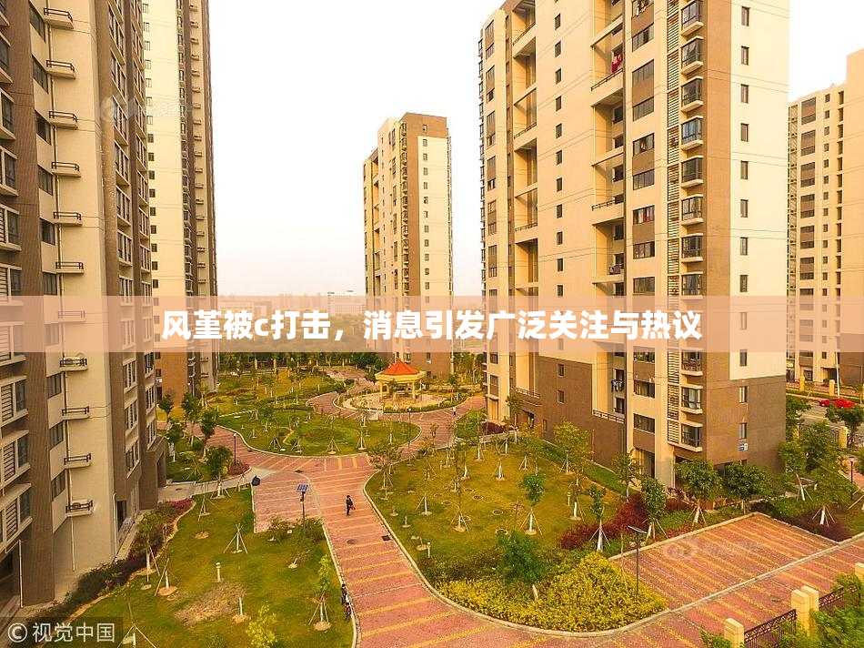 风堇被c打击，消息引发广泛关注与热议