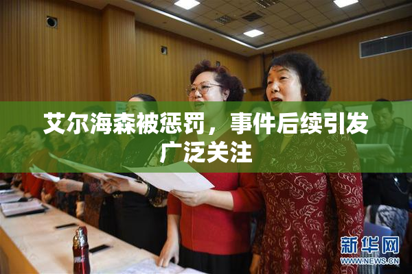 艾尔海森被惩罚，事件后续引发广泛关注