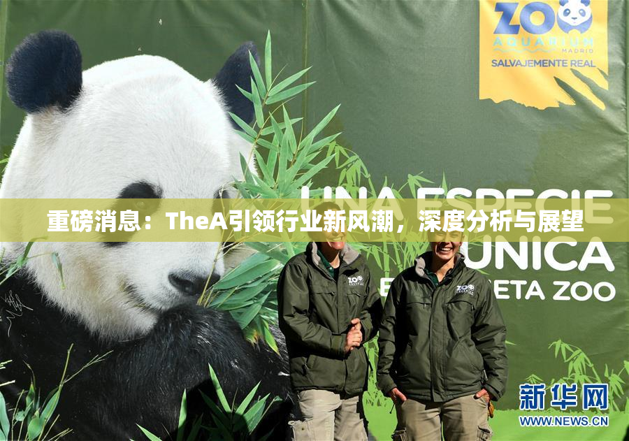 重磅消息：TheA引领行业新风潮，深度分析与展望