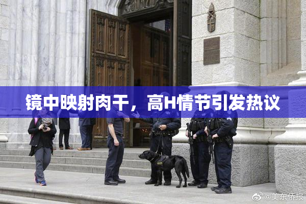 镜中映射肉干，高H情节引发热议