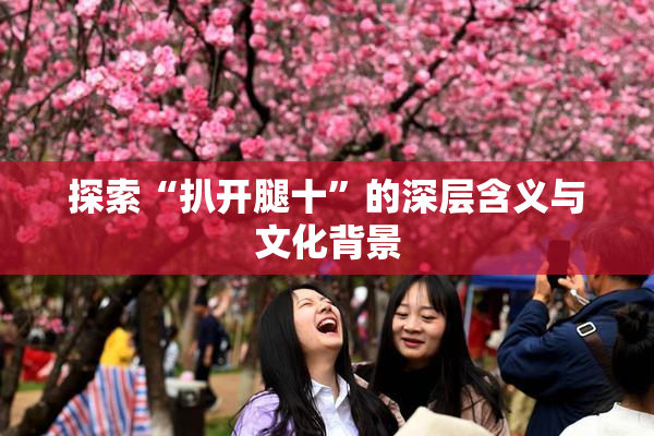 探索“扒开腿十”的深层含义与文化背景