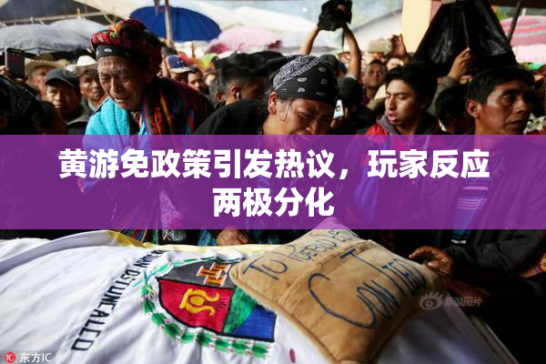 黄游免政策引发热议，玩家反应两极分化