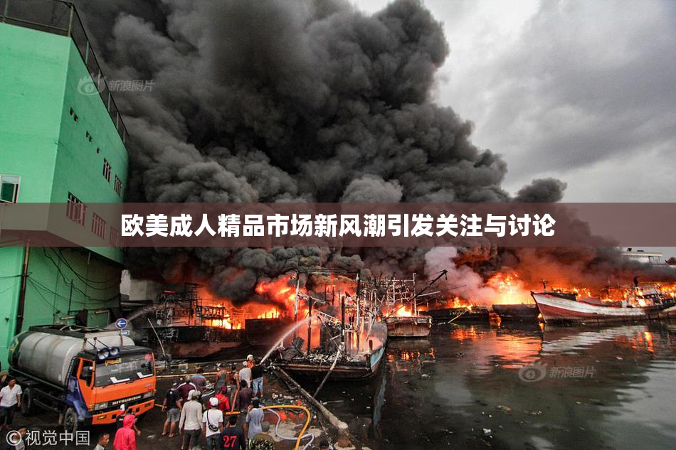 欧美成人精品市场新风潮引发关注与讨论