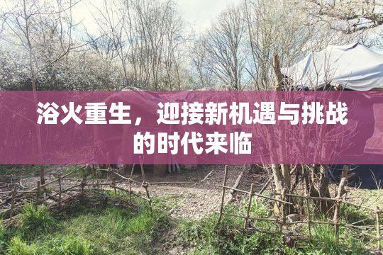 浴火重生，迎接新机遇与挑战的时代来临