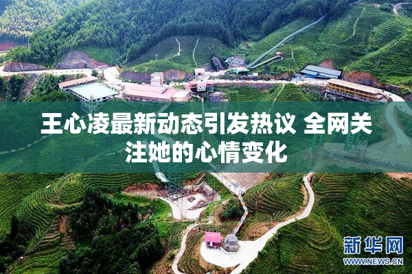 王心凌最新动态引发热议 全网关注她的心情变化