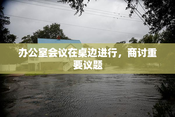 办公室会议在桌边进行，商讨重要议题