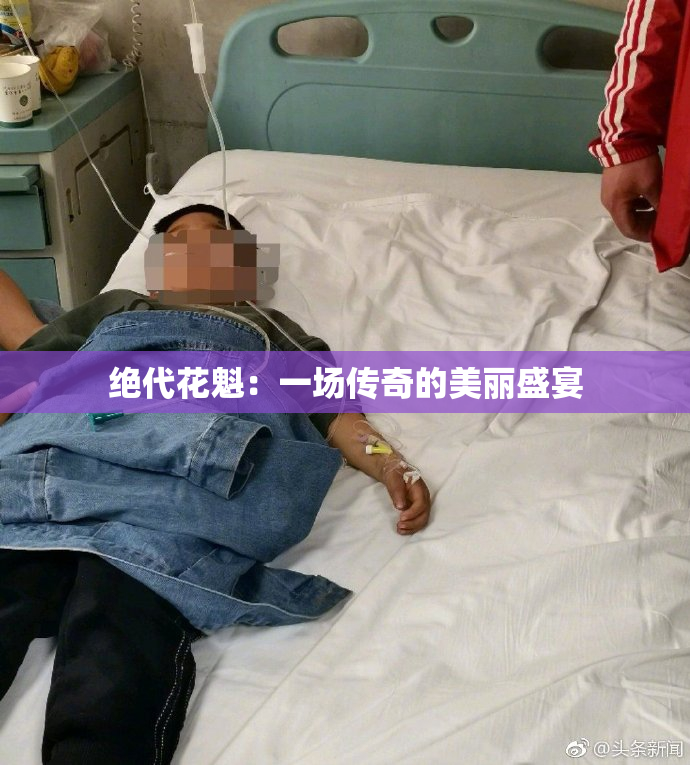 绝代花魁：一场传奇的美丽盛宴