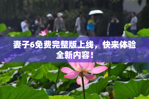 妻子6免费完整版上线，快来体验全新内容！