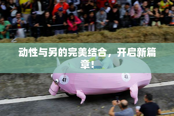 动性与另的完美结合，开启新篇章！