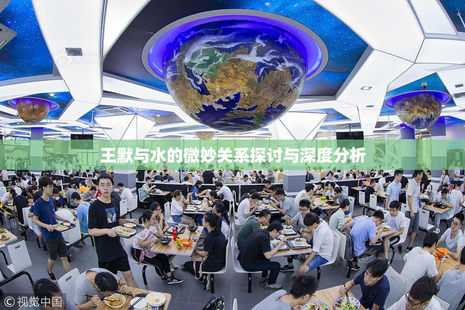 王默与水的微妙关系探讨与深度分析