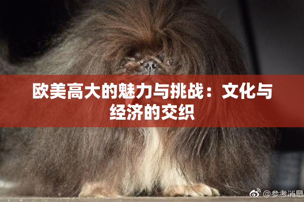 欧美高大的魅力与挑战：文化与经济的交织