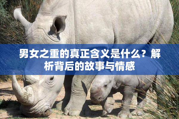 男女之重的真正含义是什么？解析背后的故事与情感
