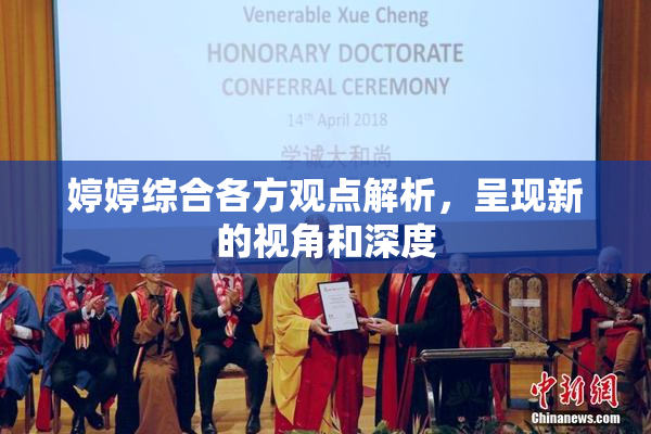 婷婷综合各方观点解析，呈现新的视角和深度
