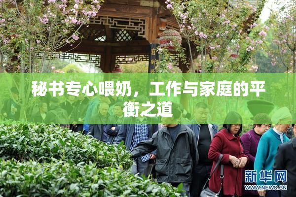 秘书专心喂奶，工作与家庭的平衡之道