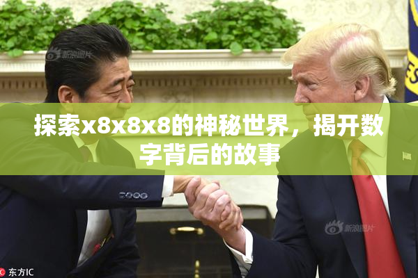 探索x8x8x8的神秘世界，揭开数字背后的故事