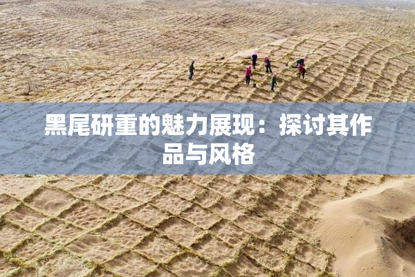 黑尾研重的魅力展现：探讨其作品与风格