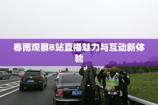 春雨观察B站直播魅力与互动新体验
