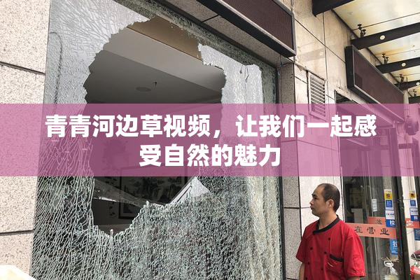 青青河边草视频，让我们一起感受自然的魅力