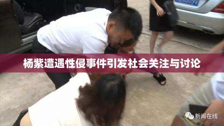 杨紫遭遇性侵事件引发社会关注与讨论