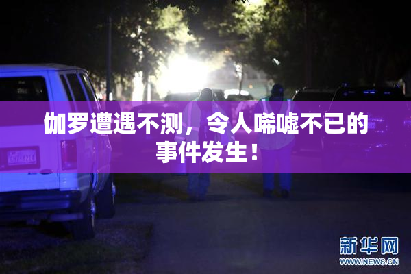伽罗遭遇不测，令人唏嘘不已的事件发生！