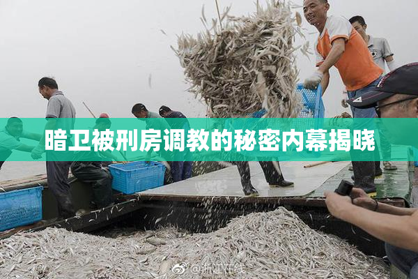 暗卫被刑房调教的秘密内幕揭晓