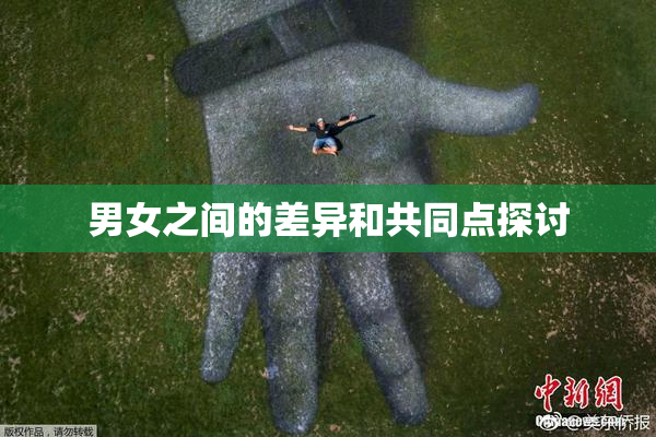 男女之间的差异和共同点探讨