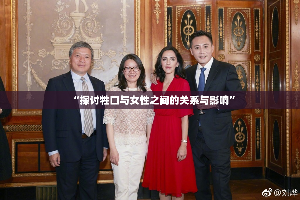 “探讨牲口与女性之间的关系与影响”