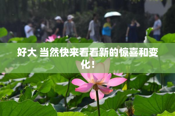 好大 当然快来看看新的惊喜和变化！