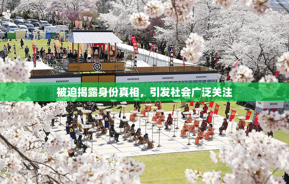 被迫揭露身份真相，引发社会广泛关注