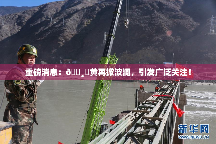 重磅消息：🌸‌黄再掀波澜，引发广泛关注！