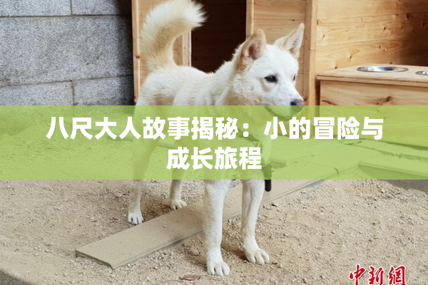 八尺大人故事揭秘：小的冒险与成长旅程