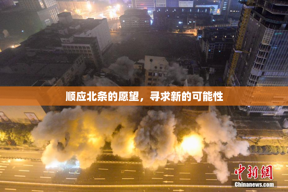 顺应北条的愿望，寻求新的可能性