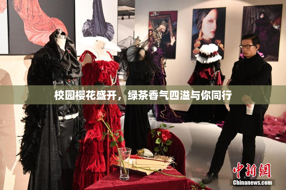 校园樱花盛开，绿茶香气四溢与你同行