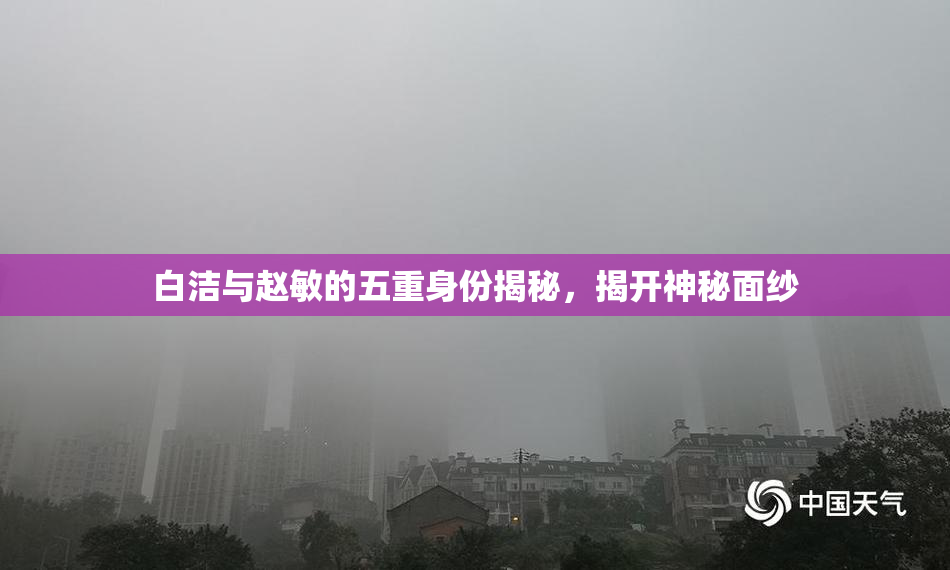 白洁与赵敏的五重身份揭秘，揭开神秘面纱