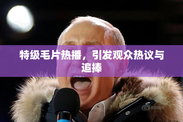 特级毛片热播，引发观众热议与追捧