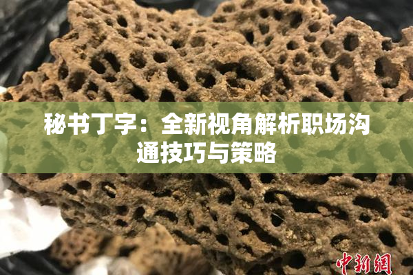 秘书丁字：全新视角解析职场沟通技巧与策略