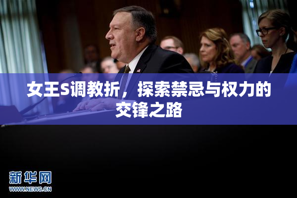 女王S调教折，探索禁忌与权力的交锋之路