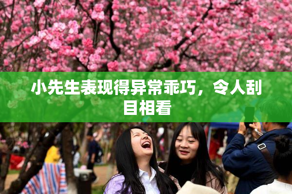 小先生表现得异常乖巧，令人刮目相看