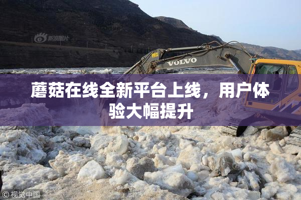 蘑菇在线全新平台上线，用户体验大幅提升