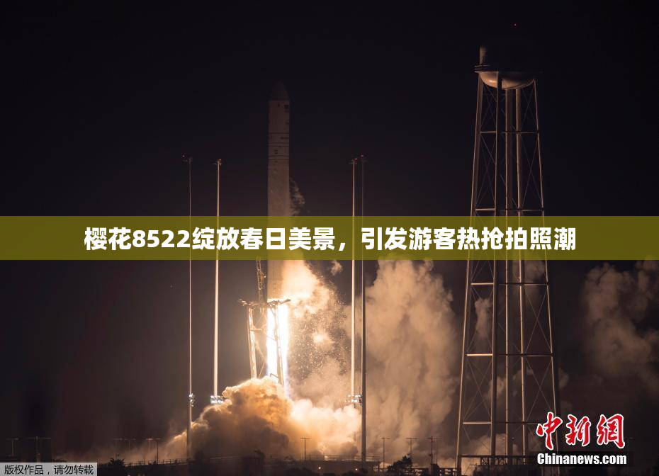 樱花8522绽放春日美景，引发游客热抢拍照潮